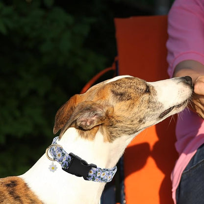 Flower Patterns Dog Collar with Accessories