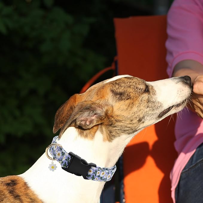 Flower Patterns Dog Collar with Accessories