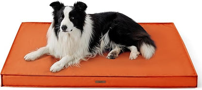 Lesure Outdoor Waterproof Dog Beds for Large Dogs