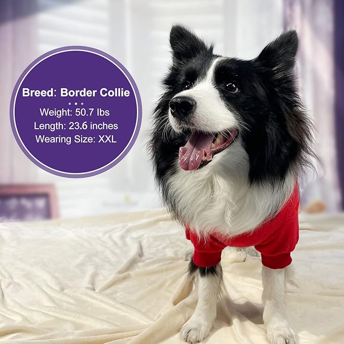 cyeollo Warm Dog Pajamas Winter Coats Fleece Dog Pjs Stretchy Turtleneck Thermal Dog Clothes Medium Dog Pajamas for Cold Weather 2XL