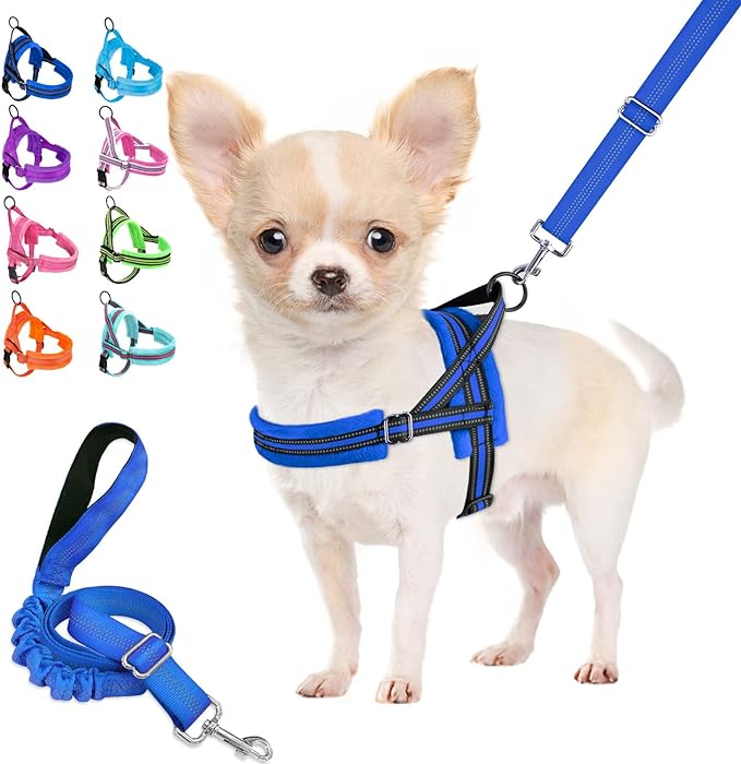 Lukovee Dog Harness and Leash Set, Soft Padded Small Dog Harness, Neck & Chest Adjustable Reflective Vest Puppy Harness with 4ft Lightweight Anti-Twist Dog Leash for Small Dogs (Small, Blue)