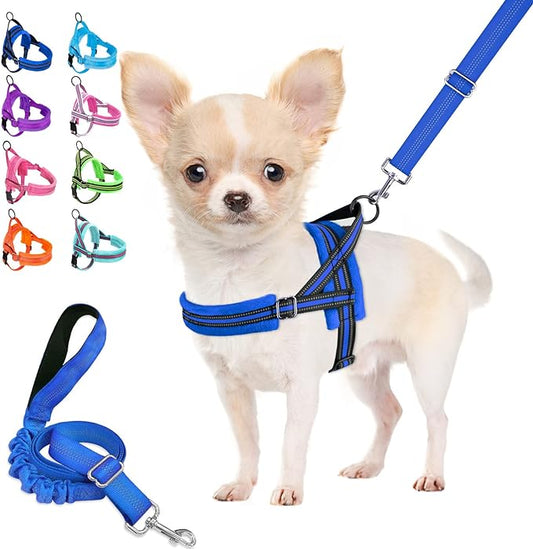 Lukovee Dog Harness and Leash Set, Soft Padded Small Dog Harness, Neck & Chest Adjustable Reflective Vest Puppy Harness with 4ft Lightweight Anti-Twist Dog Leash for Small Dogs (Small, Blue)