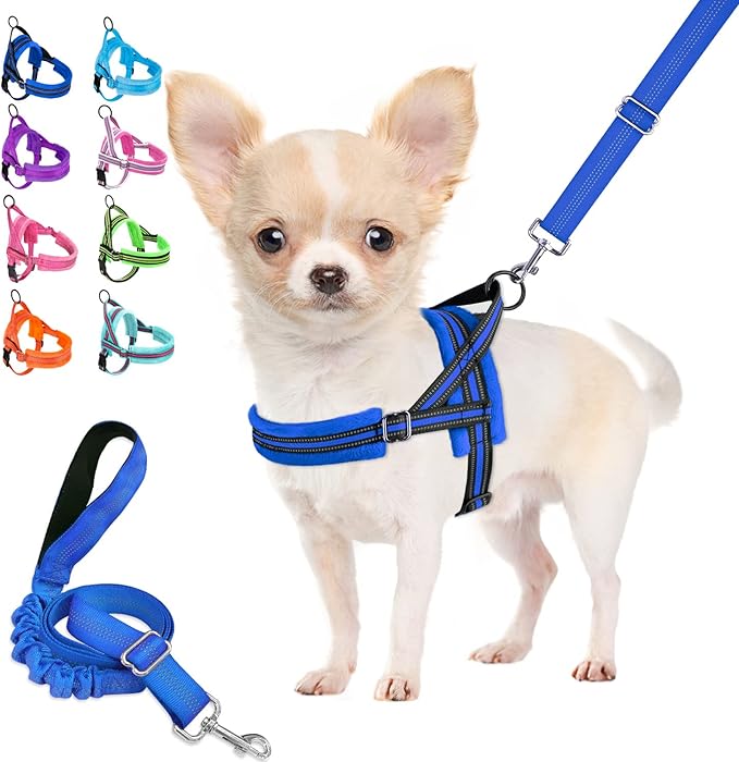 Lukovee Dog Harness and Leash Set, Soft Padded Small Dog Harness, Neck & Chest Adjustable Reflective Vest Puppy Harness with 4ft Lightweight Anti-Twist Dog Leash for Small Dogs (Blue, Medium)