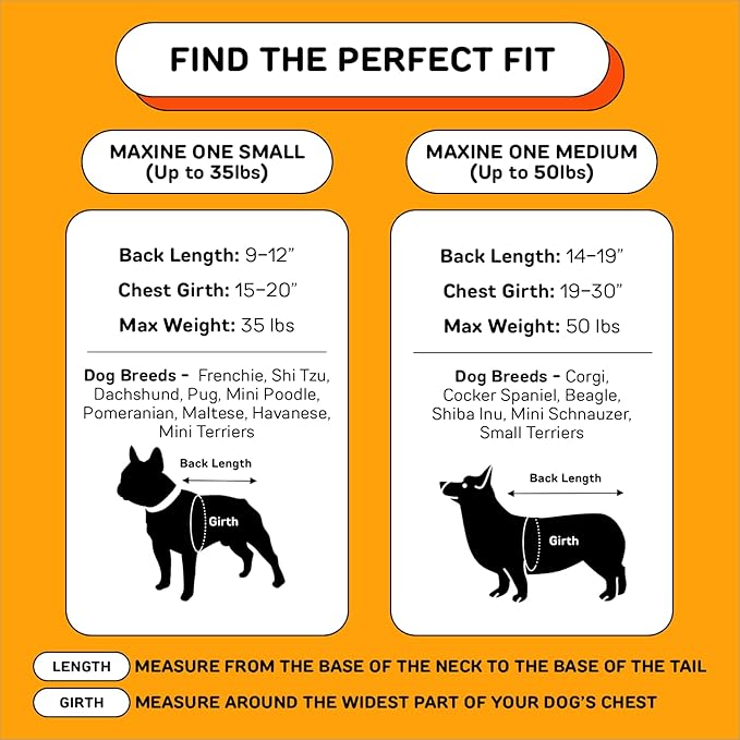 The Maxine One Dog Backpack Carrier with Snacc Pacc Hip Belt by LITTLE CHONK | Made for Pets Up to 50 lbs | Snack Storage | Dog Carrier for Medium Sized Breeds - Bark After Dark Black