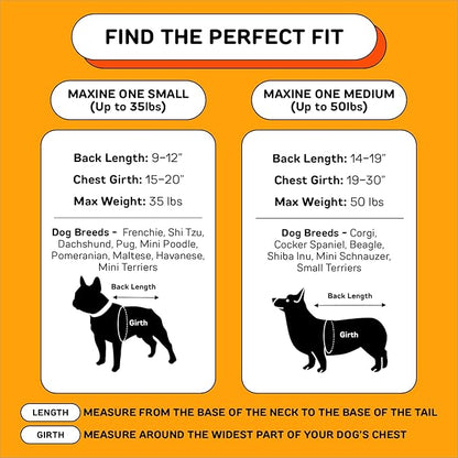 The Maxine One Dog Backpack Carrier with Snacc Pacc Hip Belt by LITTLE CHONK | Made for Pets Up to 50 lbs | Snack Storage | Dog Carrier for Medium Sized Breeds - Bark After Dark Black