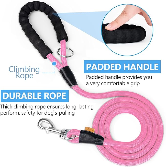 Dog Leash ((1/3") - 6FT, Pink)