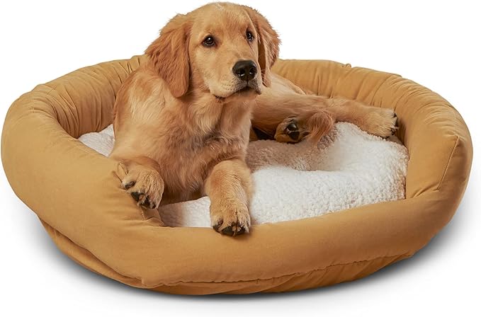 Maddie Donut Dog Bed with Removable Center Pillow (32" x 32")