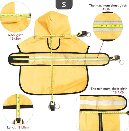 Raincoat Dogs