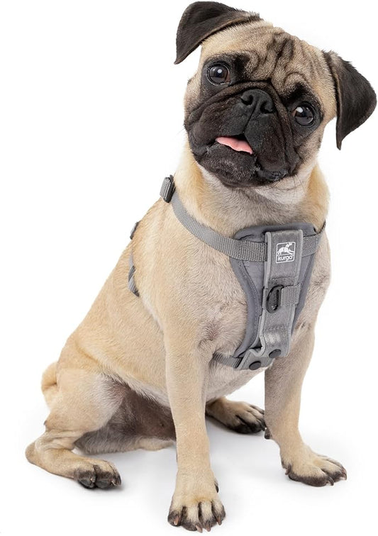 Kurgo Tru-Fit Smart Harness, Dog Harness, Pet Walking Harness, Quick Release Buckles, Front D-Ring for No Pull Training, includes Dog Seat Belt Tether (Grey, X-Small)