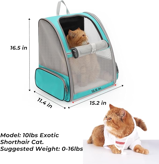 LOLLIMEOW Pet Carrier Backpack for Dogs and Cats,Puppies,Fully Ventilated Mesh,Airline Approved,Designed for Travel, Hiking, Walking & Outdoor Use (Mesh Green-M)