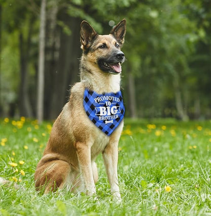 Dog Bandana (B51)