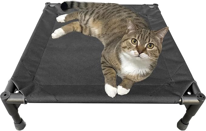 Love&go Elevated Dog Bed with Metal Frame (Small-18.5x18.5x5.5 inch,