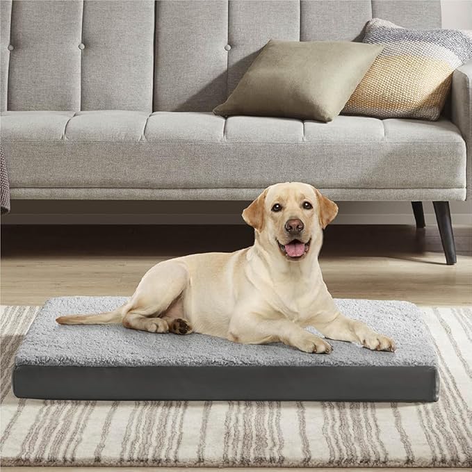 Friends Forever Orthopedic Dog Bed 36x27x3