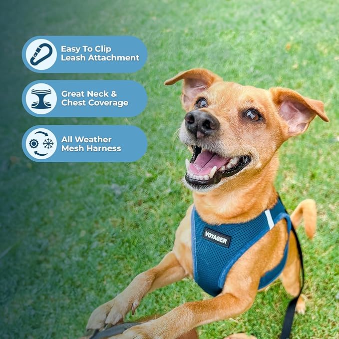 Voyager Step-in Air Dog Harness - All Weather Mesh Step in Vest Harness for Small and Medium Dogs and Cats by Best Pet Supplies - Harness (Turquoise), XS (Chest: 13-14.5")