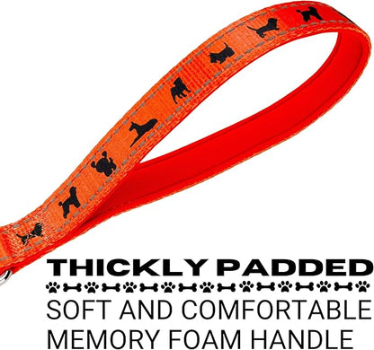 EcoBark Dog Leash