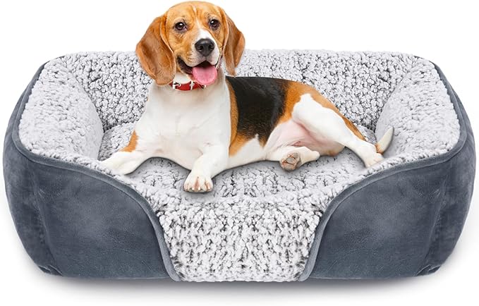 Dog Beds for Small Dogs