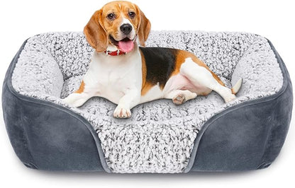 Dog Beds for Small Dogs