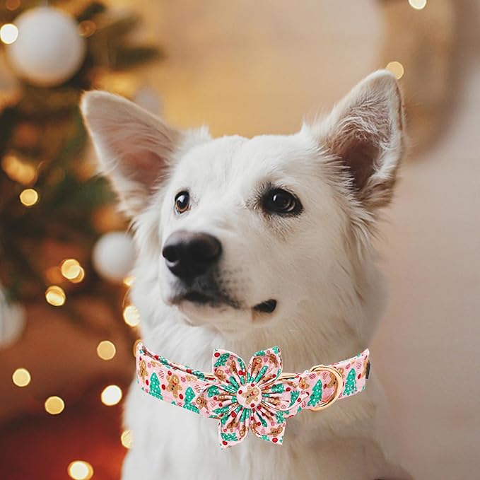 Elegant little tail Dog Collar with Flower