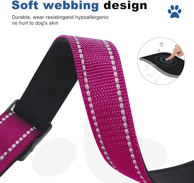 Reflective Martingale Dog Collars. Dog Collar with Quick