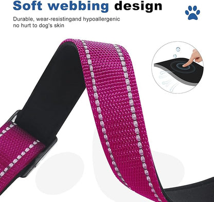 Reflective Martingale Dog Collars. Dog Collar with Quick