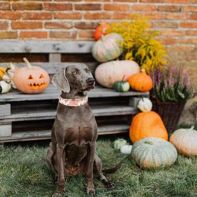Lionheart glory Dog Collar Halloween Collar Dog Fall Dog Collars