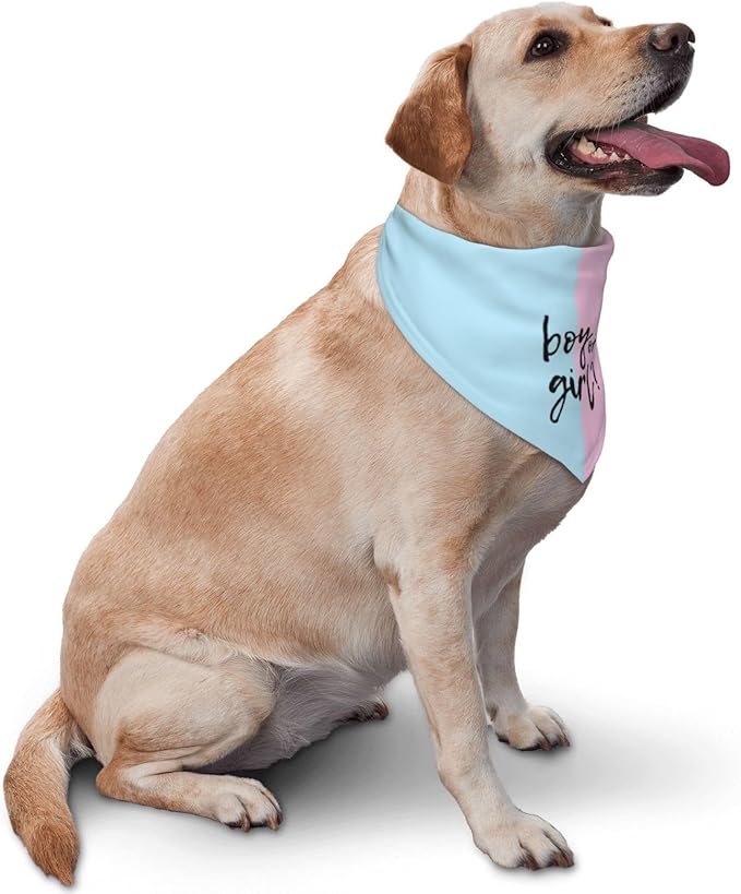 He Or She What Will It Be? Gender Reveal/Baby Announcement Dog Bandana,Pet Neckerchief for Pets Daily Wear Photo Prop Party Supplies (Pink/Blue)