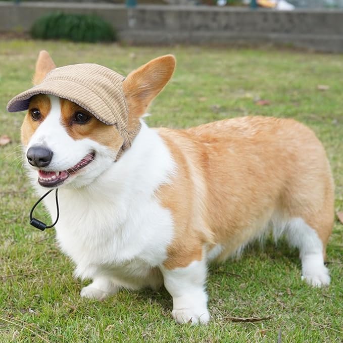 Dog Baseball Cap