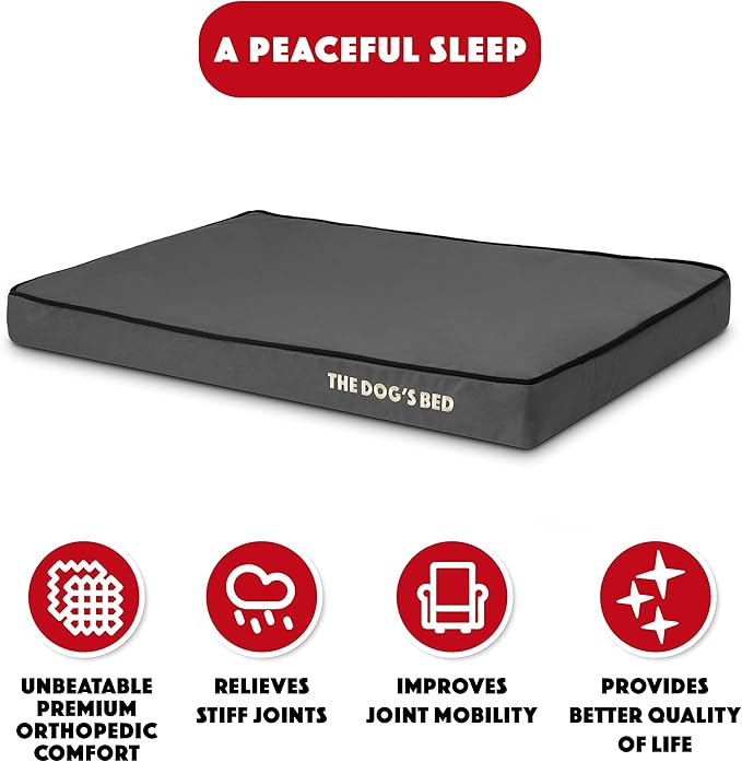 The Dog’s Bed Orthopedic Memory Foam Dog Bed 34x22, Pain