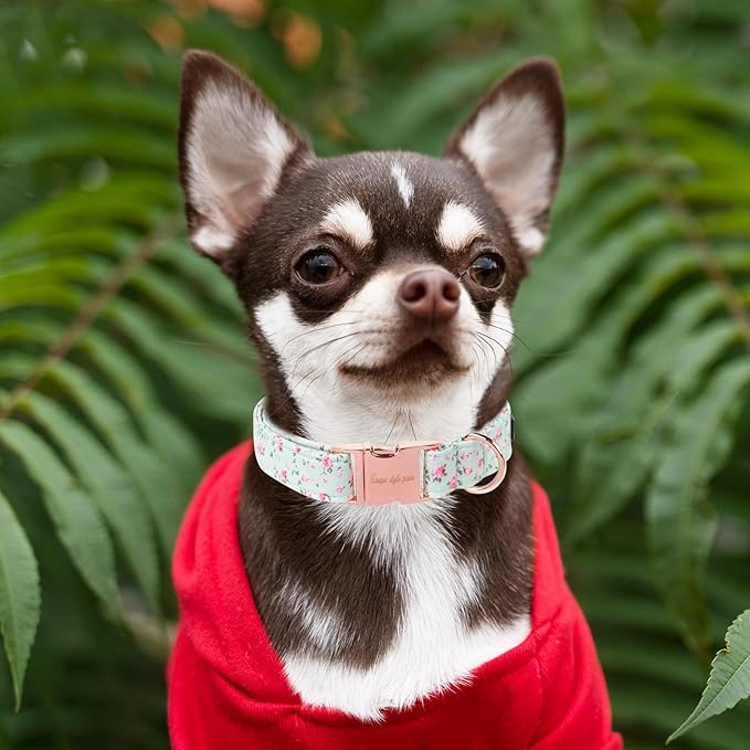 Unique style paws Dog Collar Metal Buckle Collar