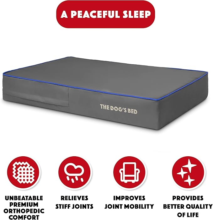 The Dog’s Bed Orthopedic Memory Foam Dog Bed 40x25, Pain
