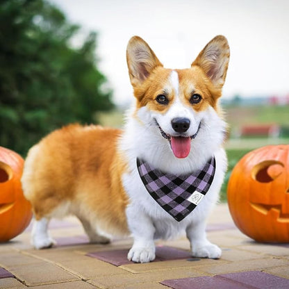 E-Clover Halloween Dog Bandanas & Matching Scrunchie-Plaid Dog