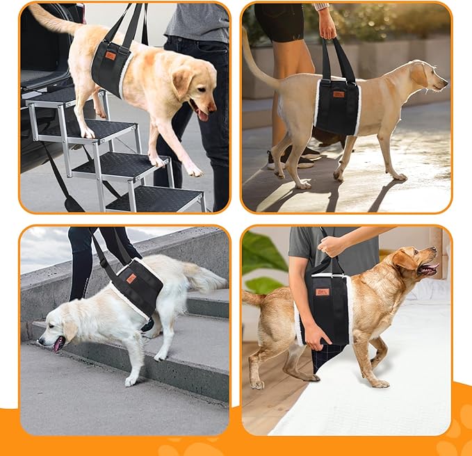 4-150 lbs Dog Lift Harness Adjustable Dog Sling for Large Dogs Lift Support Rehab Harness for Weak Rear Legs, Soft Hind Leg Support Helps Senior, Injured, Disabled and After ACL Surgery Dogs, X-Large