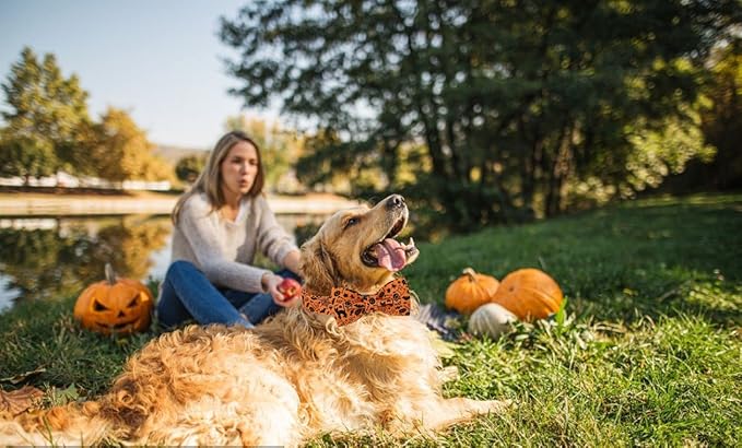 Lionet Paws Halloween Dog Collar with Bowtie 16-26in
