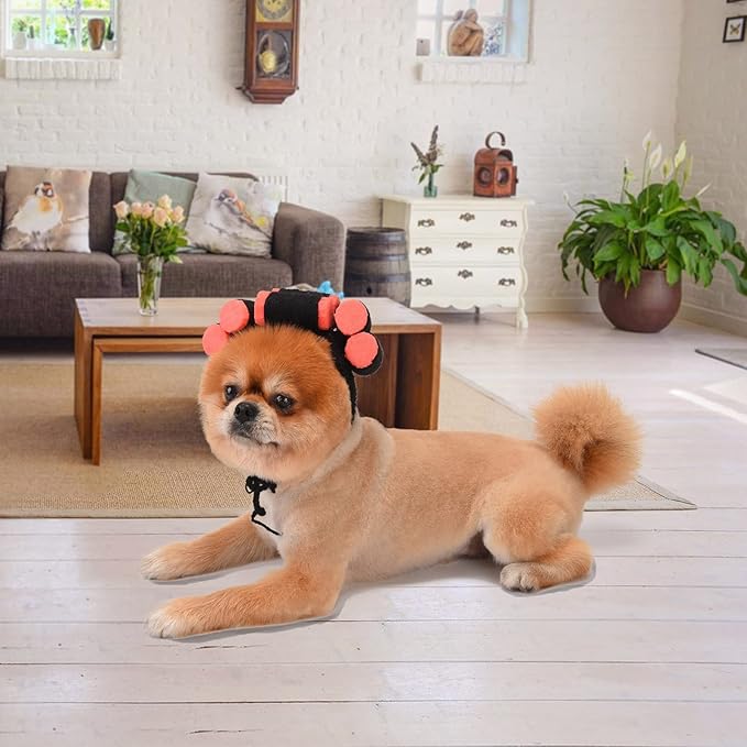 Funny Dog Cat Cosplay Wig