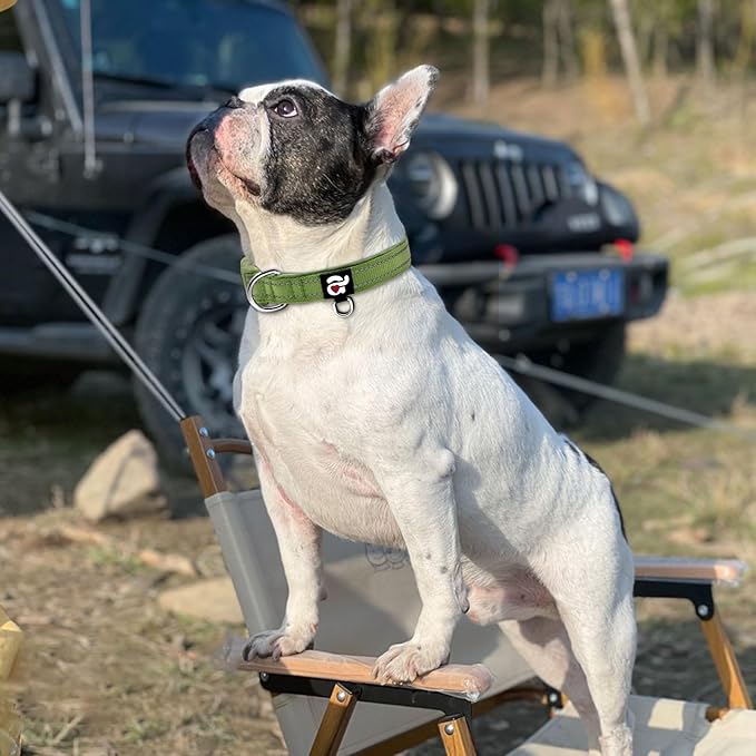 azuza Reflective Dog Collar