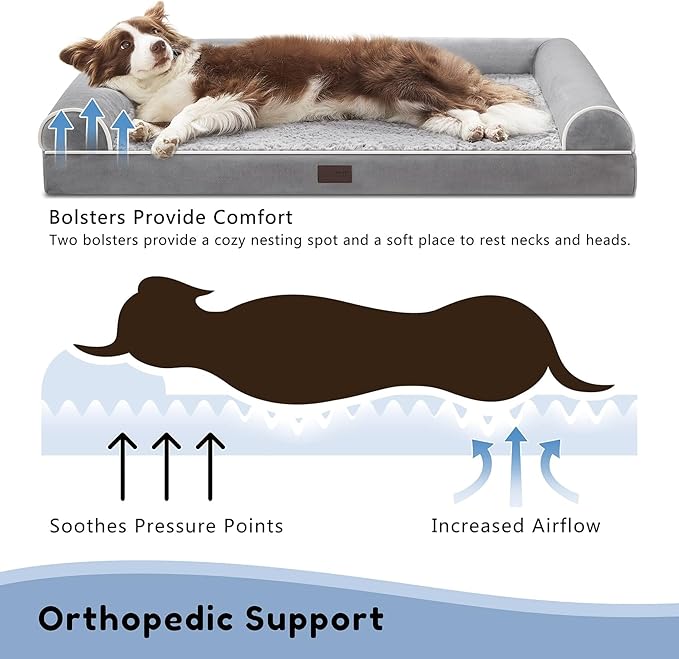 Orthopedic Dog Beds for Large Dogs