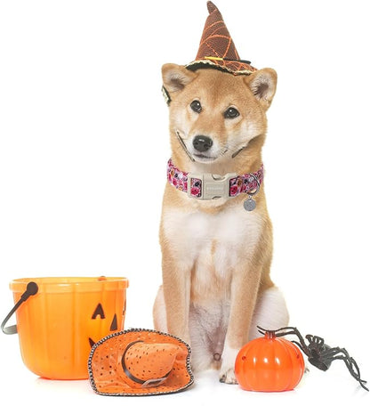 DOGWONG Pumpkin Dog Collar