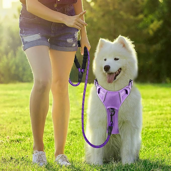 BARKBAY Dog Harness No Pull with ID Tag Pocket - Heavy Duty, Reflective, Easy Control for Large Dogs (Violet Purple,M)