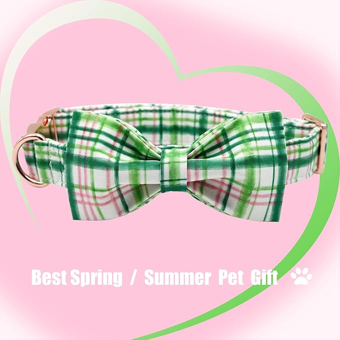 Elegant little tail Dog Collar with Bow