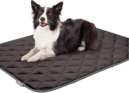 Paw Inspired Washable Padded Crate Mats for Dogs 47” x 29” Pad, 48-inch Kennels