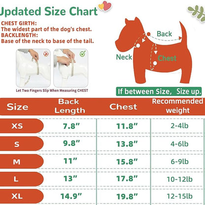 Luxury Dog Princess Formal Dress for Small Dogs Girl