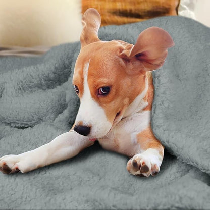 furrybaby Dog Blanket Soft Dog Blankets for Large Dogs Puppy Essentials Washable Sherpa Fleece Cat Blanket 40x47 Inches for Bed Furniture Couch Sofa (Large