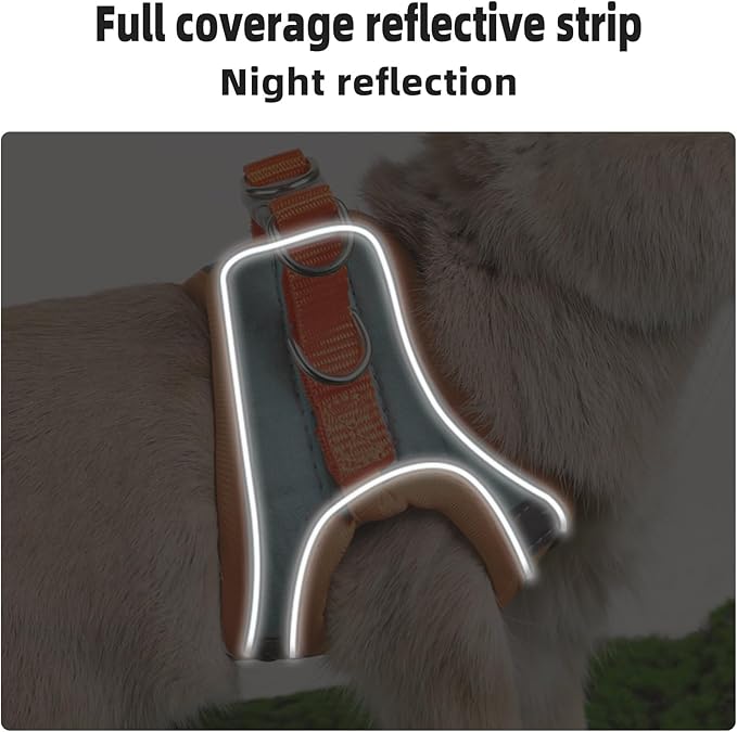 Adjustable Bunny Harness and Leash Set Double Buckle with Reflective Strips Rabbit Vest Pets Stuff Suitable for Rabbit Walks Accessories (Powder Blue, M)