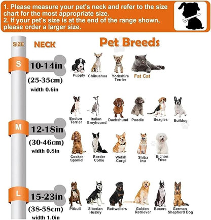 Clover Patterns Dog Collar with Accessories