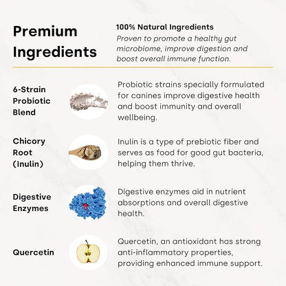 Kayode Lickable Probiotics for Dogs - Strong Dog Digestive Aid & Dog Diarrhea Relief. for Dog Lick Mats Or As Food Topper. Tasty Banana Coconut Flavor. 7 Dog Probiotic Strains.