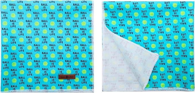 Lionet Paws Dog Bandana