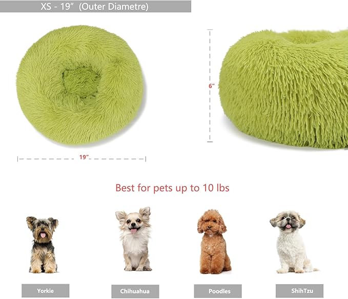 Green Dog Beds for Small Dogs Tiny 15 inches 5 lbs