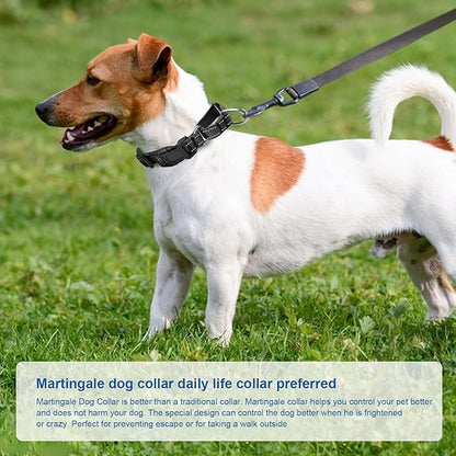 Reflective Martingale Dog Collars. Dog Collar with Quick