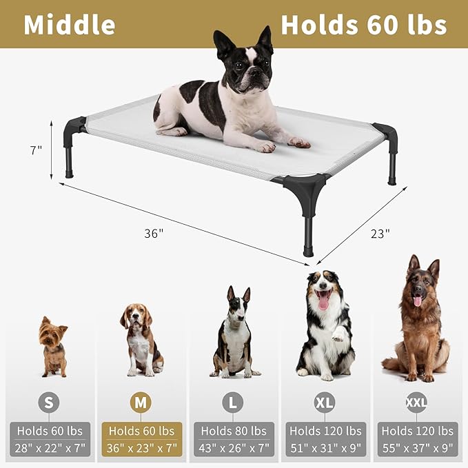 Cooling Elevated Dog Bed