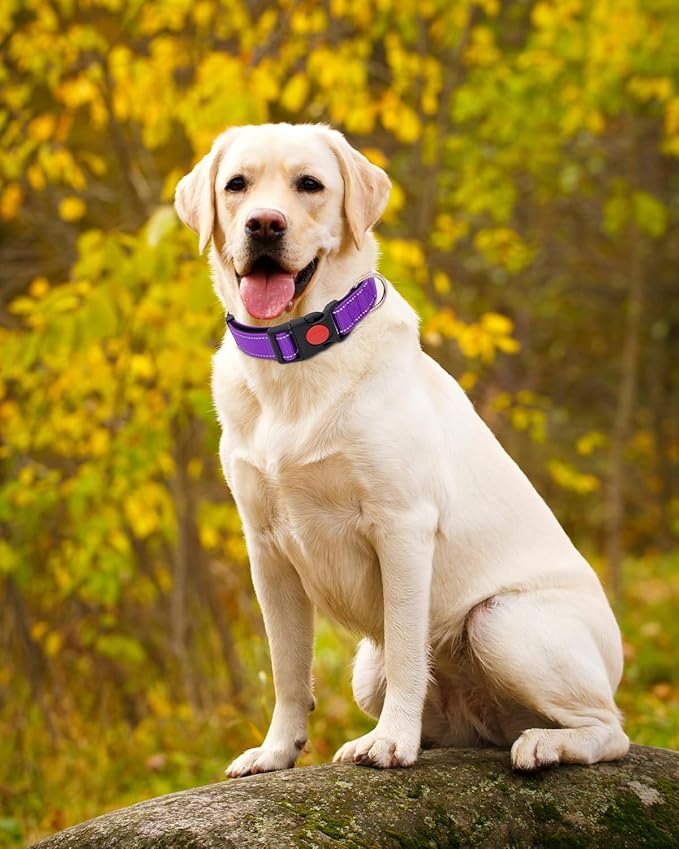 Reflective Dog Collar